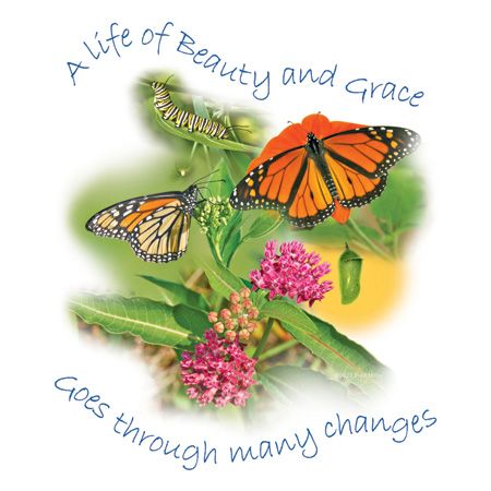 Monarch Life Cycle MontageWithSaying450x450 | Gardens with Wings Life cycle of a monarch butterfly: egg, larva, pupa, adult.
