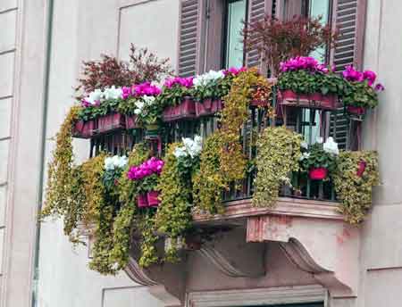 A balcony filled with flowers.