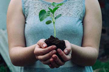 Person holding soil with a small green seedling, illustrating growth and nurturing.