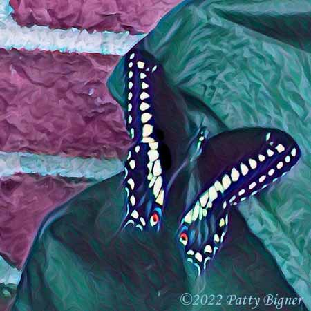 Black butterfly with yellow dots on blue-green fabric in front of red brick wall