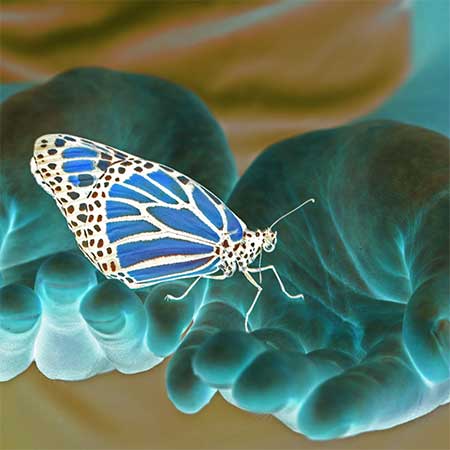 Ethereal-looking teal hands holding a blue posterized butterfly