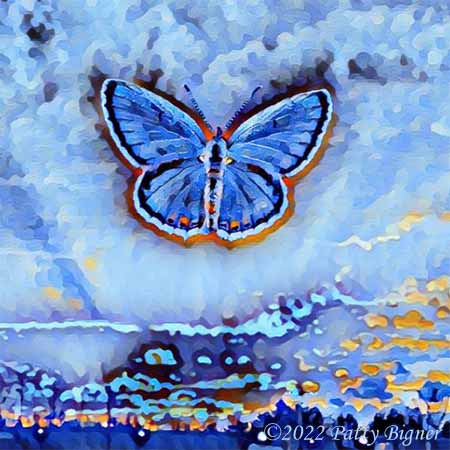 Impressionistic-looking blue and orange butterfly with wings opened over a blue and orange background
