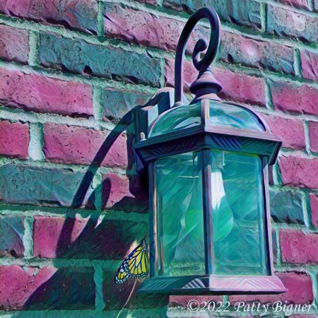 Monarch butterfly outside on house lantern. The bricks are green and pink