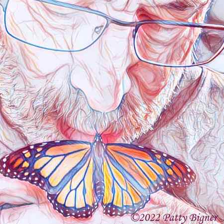 Butterfly Poem: A Butterfly’s Life