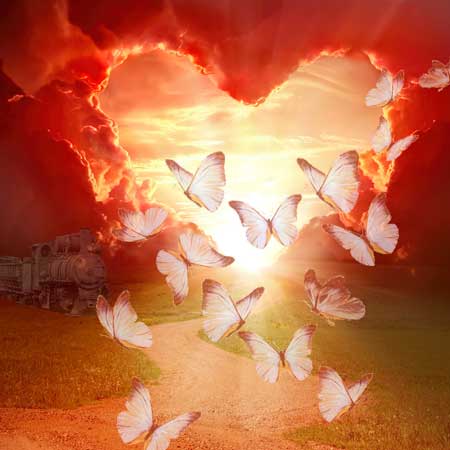 butterfly love | Gardens with Wings