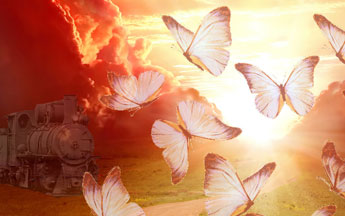 Butterfly In Stomach Meaning Love: From First Date Jitters to Lasting Connection