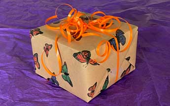 gift wrapped in butterfly wrapping paper