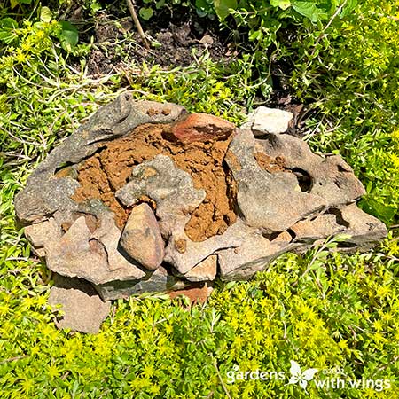 butterfly puddler made from a rock