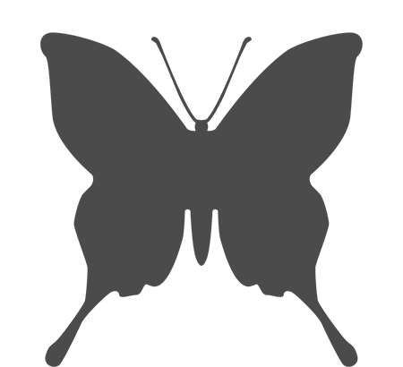 longtails butterfly shape