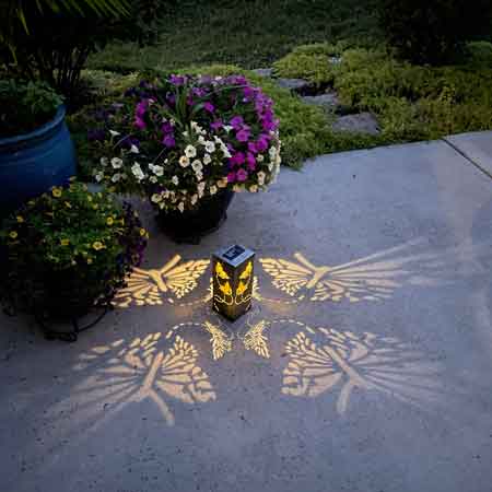 butterfly solar light | Gardens with Wings metal solar light with butterfly reflection