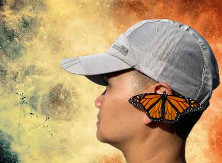 Male monarch butterfly with wings open sitting on the left ear of an Asian man with light grey ballcap
