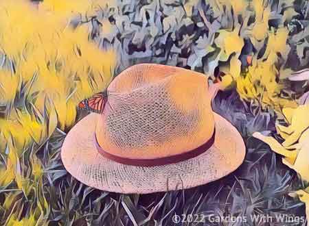 Monarch butterfly on a straw hat with leather strap