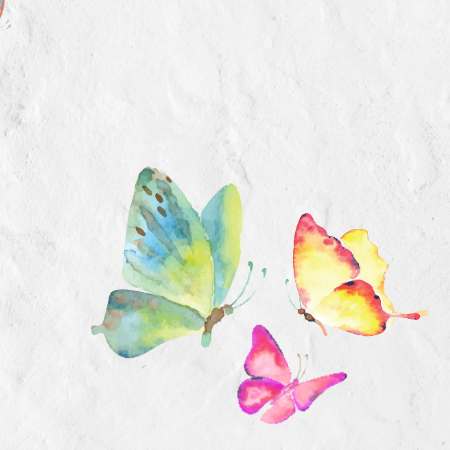 Watercolor style of three butterflies