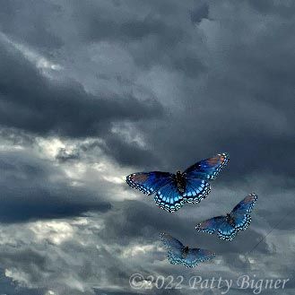 Three purple butterflies flying upwards into dark clouds