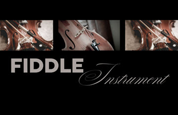 The Sustainable Strings: Buying an Eco-Friendly Fiddle