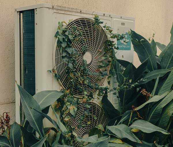Outdoor AC condenser unit with two large fans, partially covered by ivy and surrounding leaves.