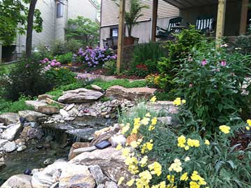 Beginner’s Guide to Creating a Pollinator-Friendly Garden