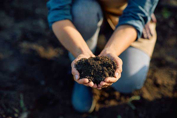 garden soil | Gardens with Wings Person kneels in a garden, cupping rich dark soil in both hands for inspection.