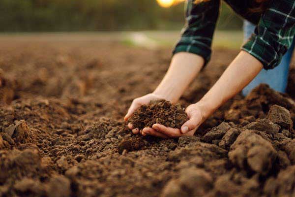 hands in soil | Gardens with Wings Close-up of hands scooping and shaping rich soil in a garden bed, preparing for planting.