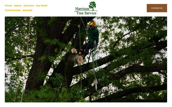 harrison tree service | Gardens with Wings Tree climber in helmet and harness pruning large leafy tree using ropes and platforms
