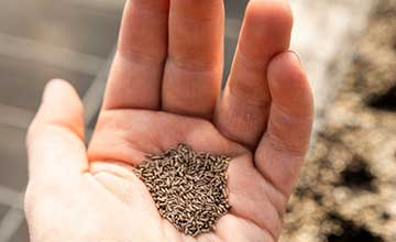 harvest seed | Gardens with Wings How to Harvest and Store Seeds to Support Pollinator-Friendly Gardens