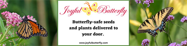 joyful butterfly plants