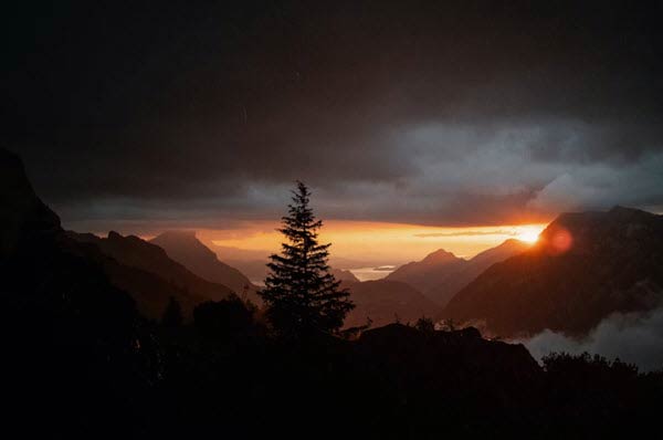 landscape | Gardens with Wings Silhouette of a pine tree on a ridge at sunset, with orange glow over jagged mountains and dark clouds across the sky.