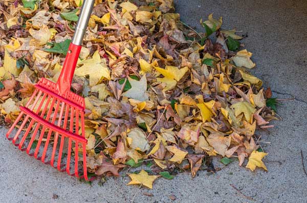 Red rake resting on a pile of colorful autumn leaves on a concrete sidewalk.