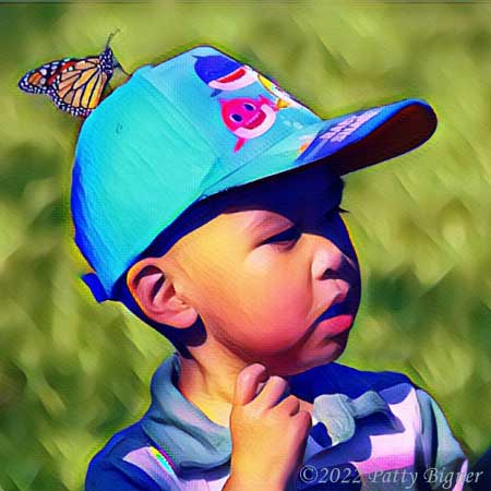 Monarch butterfly on young boy's baseball hat