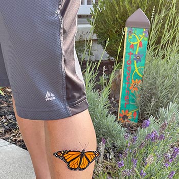 Butterfly Stories: Monarchs Landed on My Leg