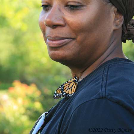 Monarch butterfly on a women's blue shirt surrounded by foliage