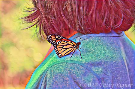 Monarch resting on the shoulder of a lady wearing a green shirt