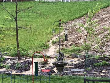 Garden scene with a stone fountain and birdbath amid mulch and young trees on a sloped lawn.