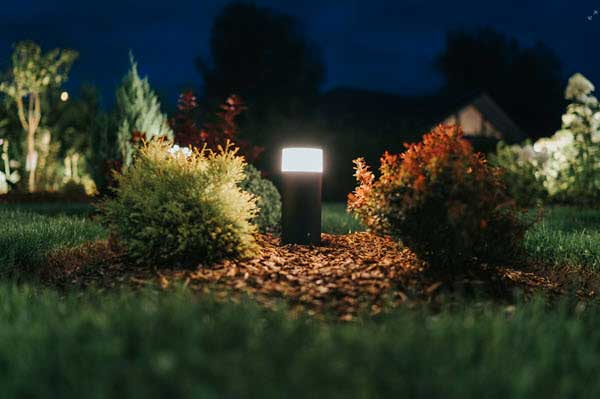 A small outdoor path light glowing between shrubs in a nighttime garden.