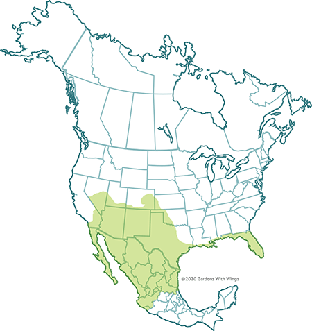 queen butterfly range map