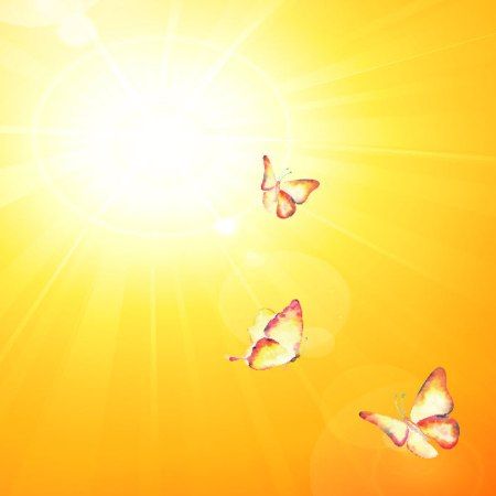 Bright sunny day with three butterflies flying towards sun