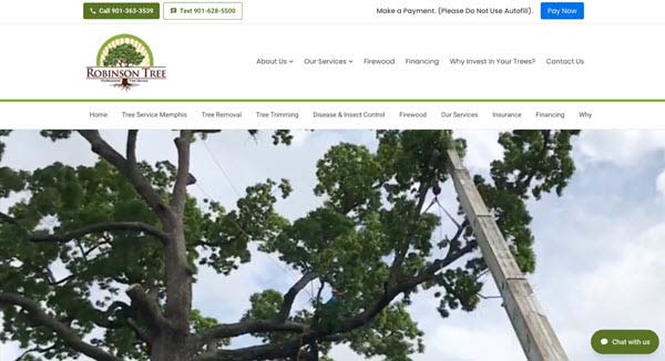 robinson tree service | Gardens with Wings Large tree with dense green leaves and a wooden ladder leaning against a branch, suggesting tree service work