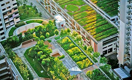 roof top garden garden 450 | Gardens with Wings