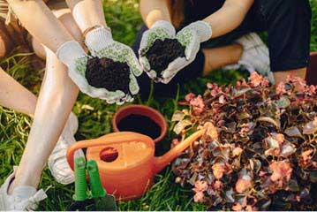 Best Time to Treat Bagworms: A Complete Seasonal Guide