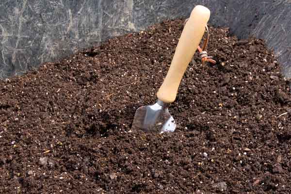 Importance of Soil Preparation