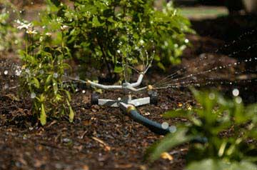 Maintaining Outdoor Water Systems for a Thriving Garden