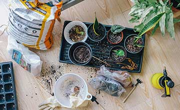 start garden feature | Gardens with Wings The Many Benefits of Starting a School Garden