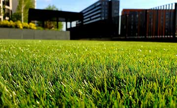 topsoil feature | Gardens with Wings The Hidden Role of Topsoil in Curb Appeal and Lawn Health