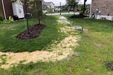 Backyard lawn with brown dry patches forming a winding path through green grass, with houses and a sidewalk in the background.