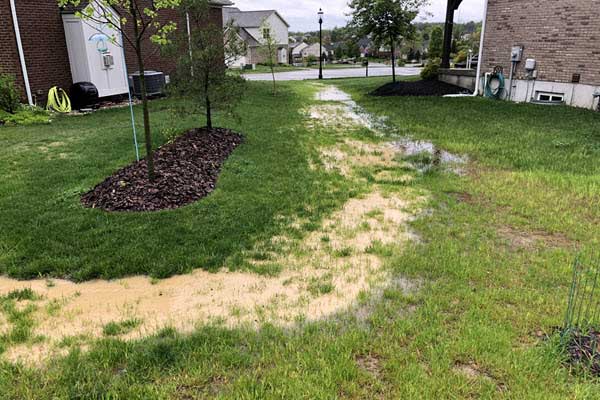 Yard with muddy, waterlogged path through a suburban lawn after rain, showing patches of brown soggy ground leading to houses in the distance.