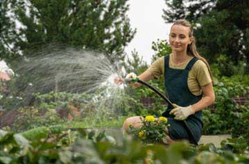 Designing a Garden That Thrives: Why Water Management Matters More Than You Think