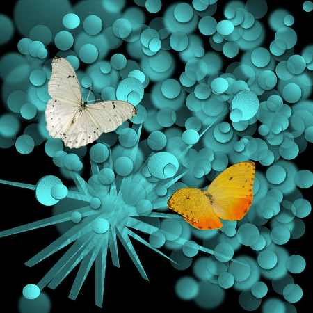 white and yellow butterflies surrounded by blue circles