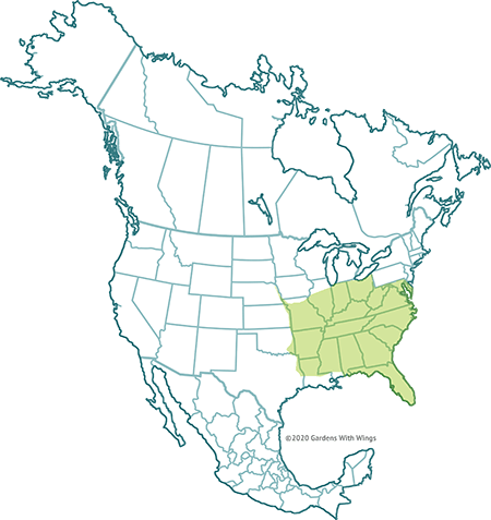 flight range map for zebra swallowtail